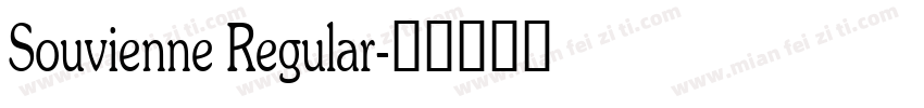 Souvienne Regular字体转换